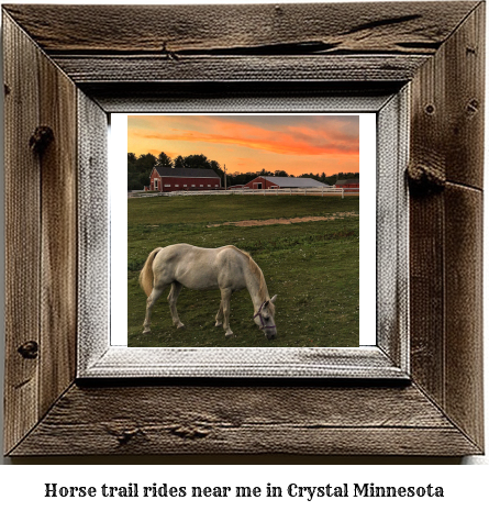 horse trail rides near me in Crystal, Minnesota
